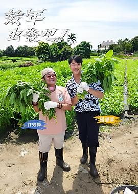 你还在被高等级噱头Av陆
